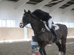 img_5995_web